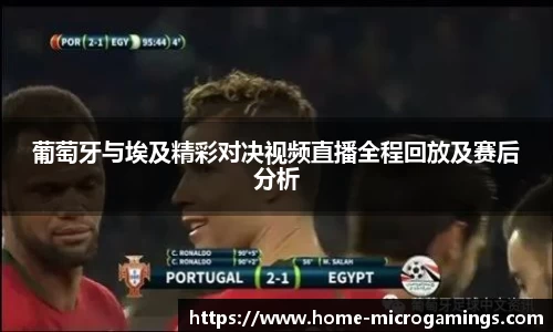 葡萄牙与埃及精彩对决视频直播全程回放及赛后分析